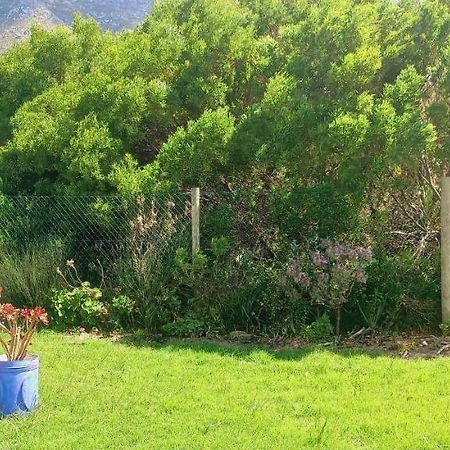 Cat Nap Cottage Bettys Bay Bagian luar foto