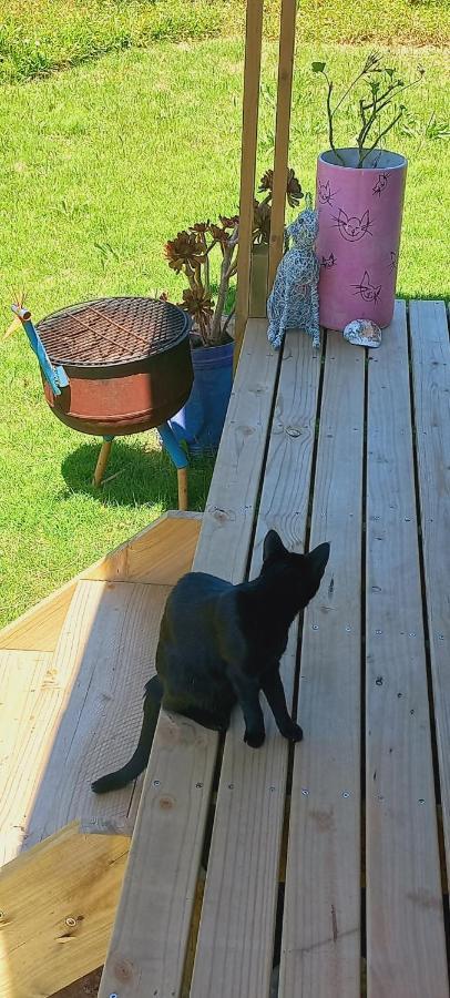Cat Nap Cottage Bettys Bay Bagian luar foto