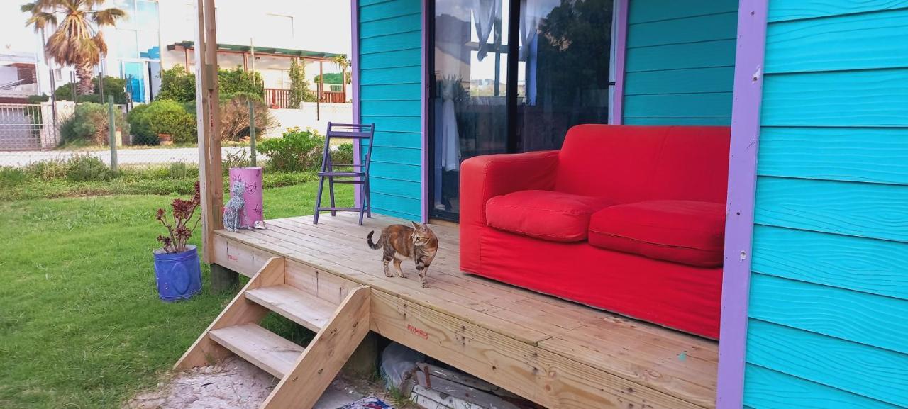Cat Nap Cottage Bettys Bay Bagian luar foto