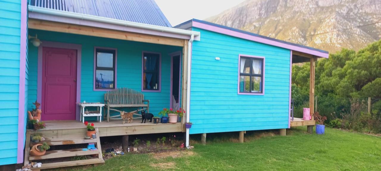 Cat Nap Cottage Bettys Bay Bagian luar foto