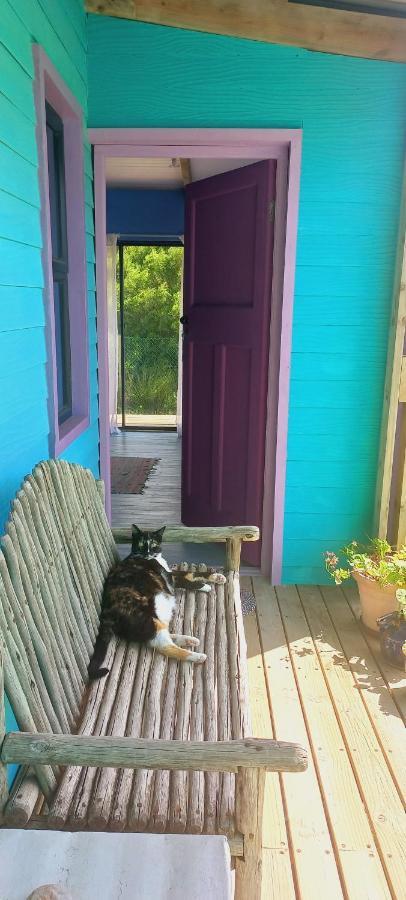 Cat Nap Cottage Bettys Bay Bagian luar foto