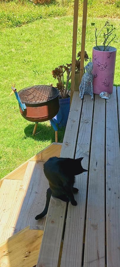 Cat Nap Cottage Bettys Bay Bagian luar foto