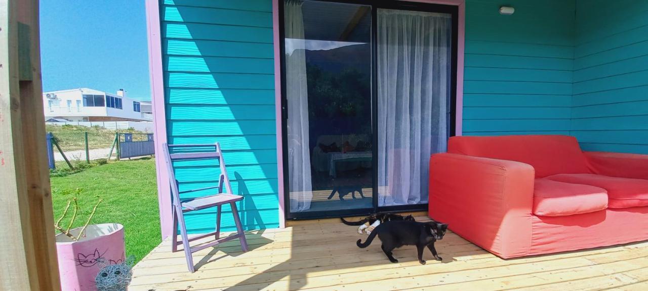 Cat Nap Cottage Bettys Bay Bagian luar foto