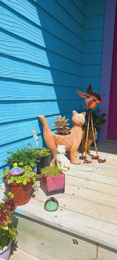 Cat Nap Cottage Bettys Bay Bagian luar foto