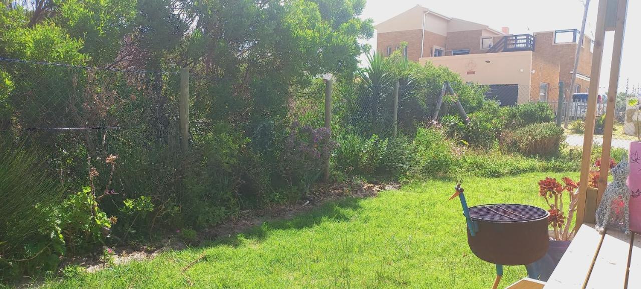 Cat Nap Cottage Bettys Bay Bagian luar foto