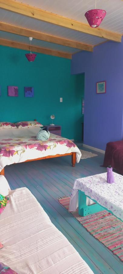 Cat Nap Cottage Bettys Bay Bagian luar foto